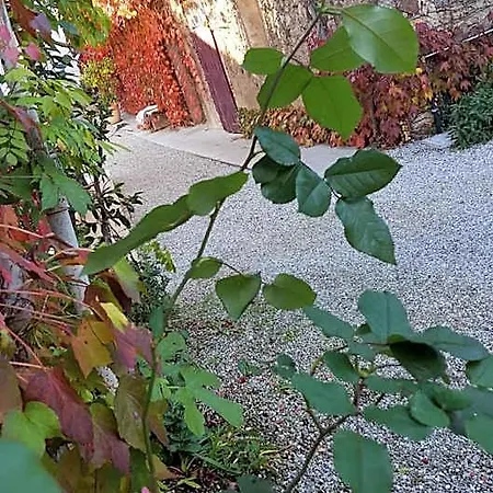 Altebas Bed & Breakfast Nogaredo di Prato