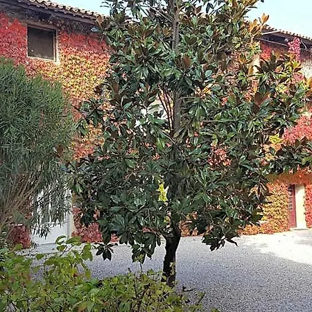 Altebas Bed & Breakfast Nogaredo di Prato
