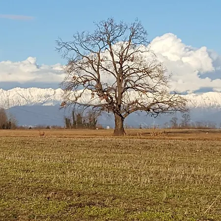 Bed & Breakfast Altebas Nogaredo di Prato
