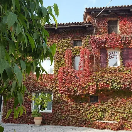 Altebas * Nogaredo di Prato