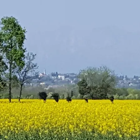 Altebas Nogaredo di Prato