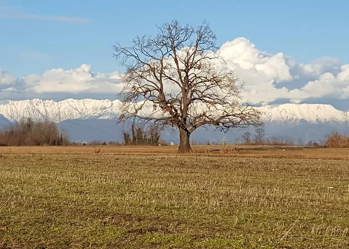 Bed & Breakfast Altebas Nogaredo di Prato