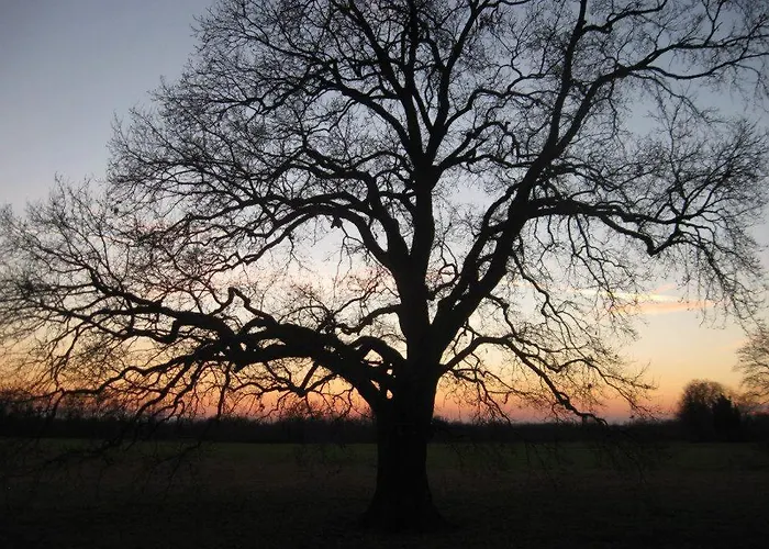 Altebas Bed & Breakfast 3*