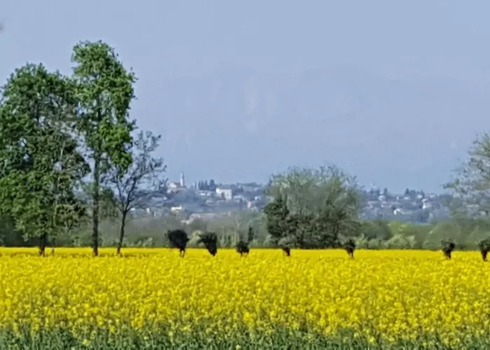 Altebas Nogaredo di Prato