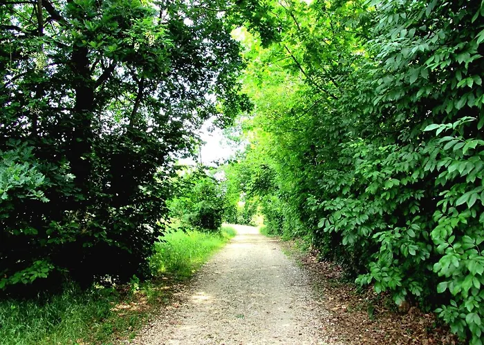 Altebas Nogaredo di Prato