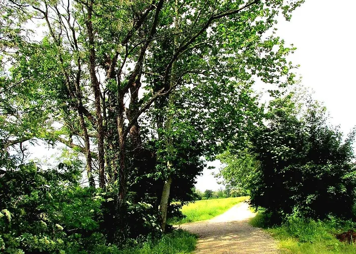 Altebas Nogaredo di Prato